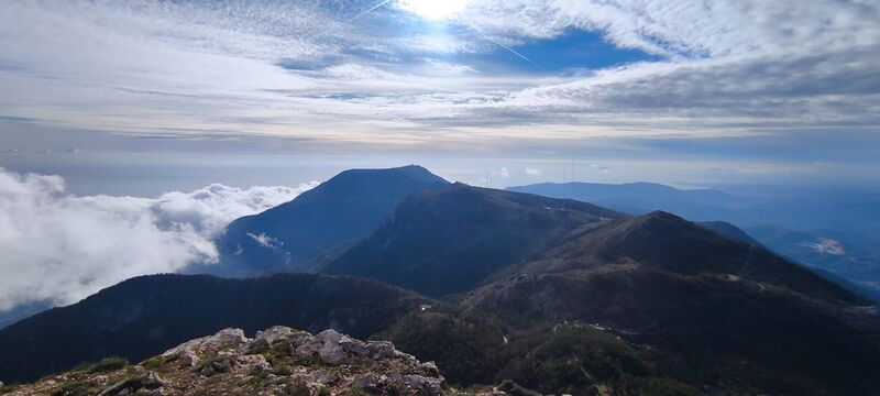 Une crête boisée émergeant d'une mer de nuages, la Méditerranée au loin