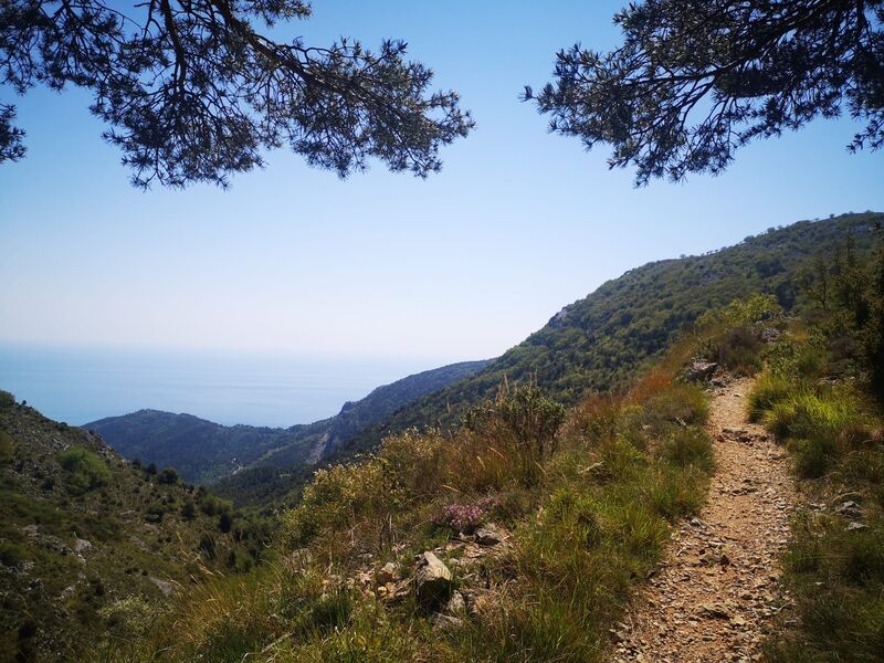Les toits de tuiles de Peille vus d'en haut, la vallée et les sommets à l'horizon