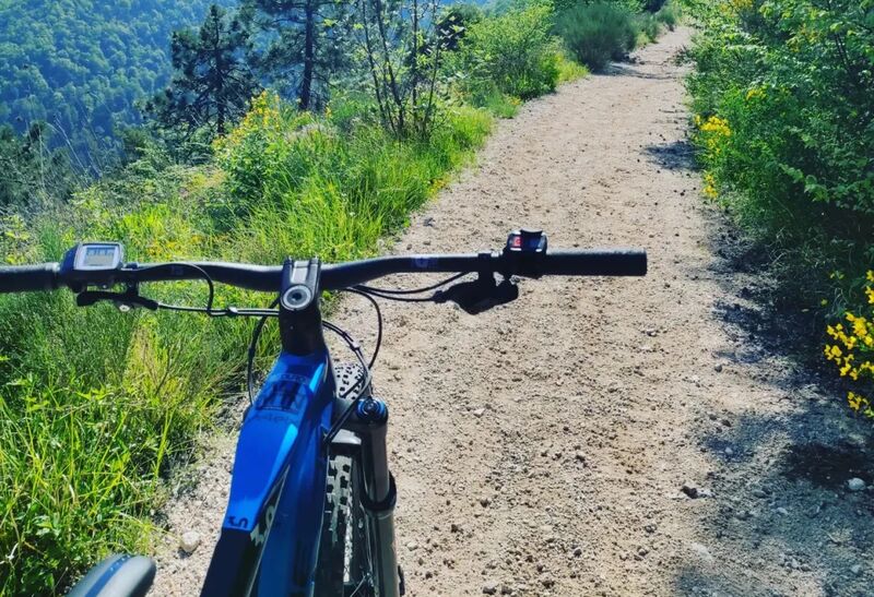 Vue depuis le guidon d'un VTT électrique sur une large piste en terre bordée de genêts en fleur